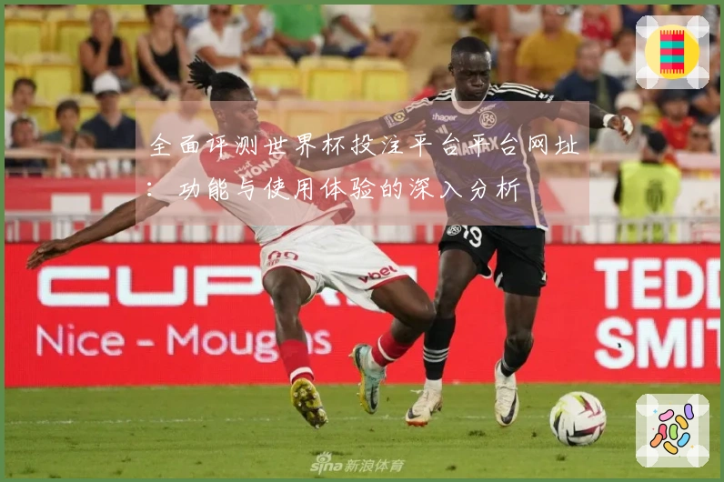 全面评测世界杯投注平台平台网址：功能与使用体验的深入分析