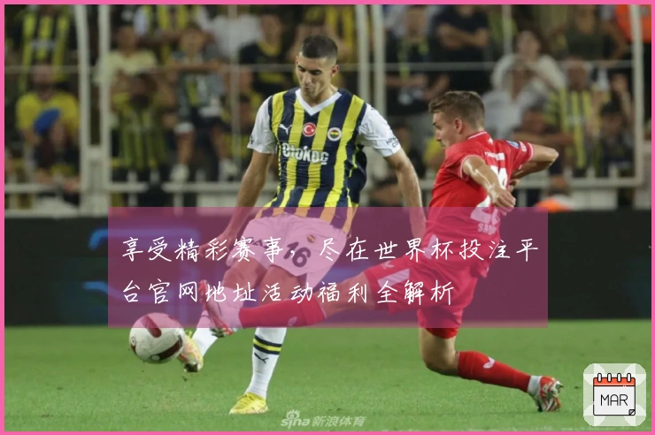 享受精彩赛事，尽在世界杯投注平台官网地址活动福利全解析