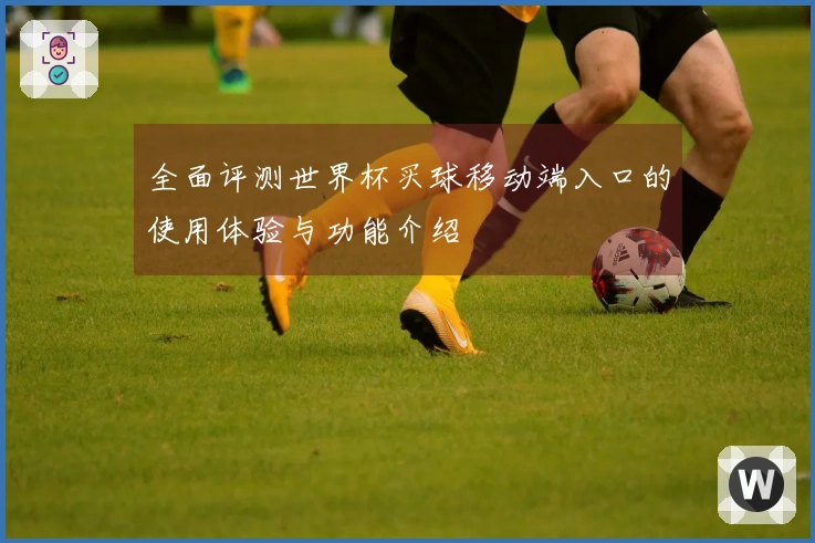全面评测世界杯买球移动端入口的使用体验与功能介绍
