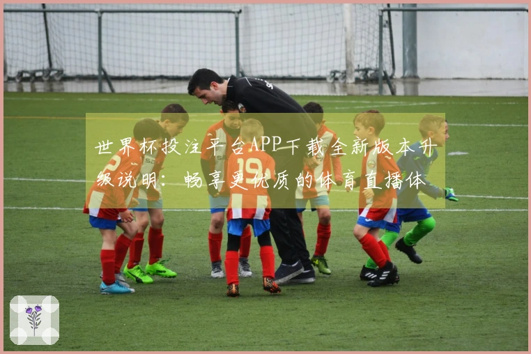 世界杯投注平台APP下载全新版本升级说明：畅享更优质的体育直播体验