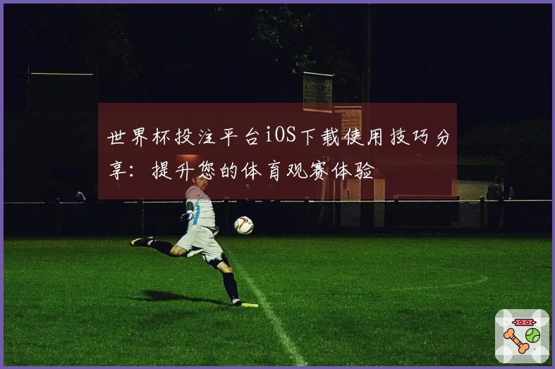 世界杯投注平台iOS下载使用技巧分享：提升您的体育观赛体验