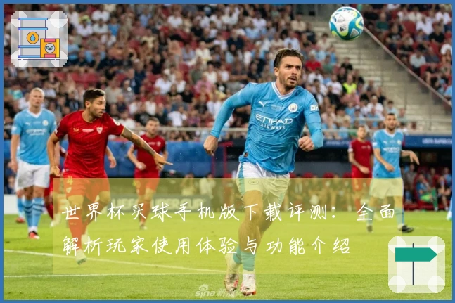 世界杯买球手机版下载评测：全面解析玩家使用体验与功能介绍