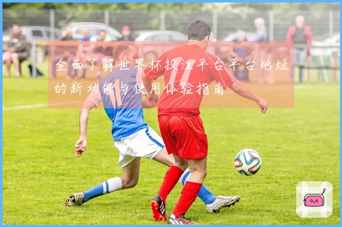 全面了解世界杯投注平台平台地址的新功能与使用体验指南