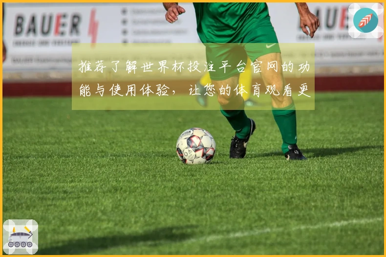 推荐了解世界杯投注平台官网的功能与使用体验，让您的体育观看更加流畅