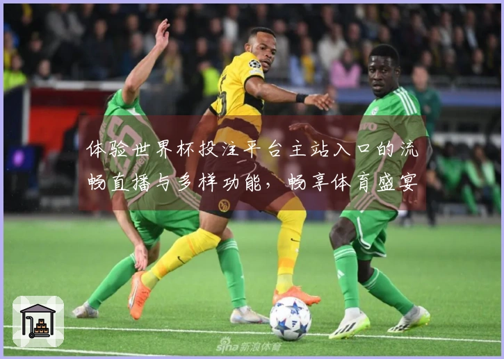 体验世界杯投注平台主站入口的流畅直播与多样功能，畅享体育盛宴