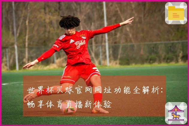 世界杯买球官网网址功能全解析：畅享体育直播新体验
