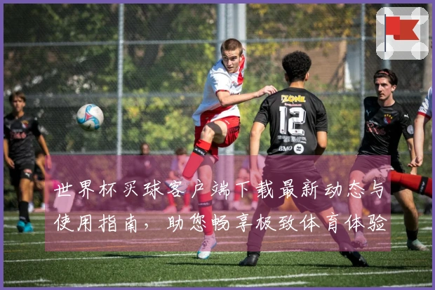 世界杯买球客户端下载最新动态与使用指南，助您畅享极致体育体验