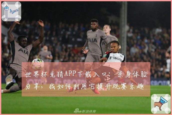 世界杯竞猜APP下载入口：亲身体验分享，我如何利用它提升观赛乐趣